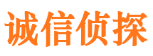 巴里坤市调查公司